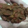 Purina - Fancy Feast with Savory Chicken & Turkey - Photo 1