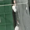 Morgan Properties - Trash and roach problem - Photo 4
