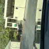 Morgan Properties - Trash and roach problem - Photo 1