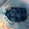 Procter & Gamble - Fairy Non Bio Washing Tablets - Photo 1