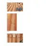 ABC Home and Commerical services Austin, Texas - Residential pest control service - Photo 2