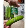 Food Basics - Grocery-cucumber
