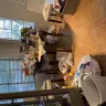 Renters Warehouse - Property management persistant problems - Photo 1