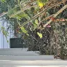 Lowe's - Fence installation - Photo 9