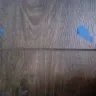 Mannington Mills - Laminate vinyl planks - Photo 3