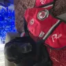 A&W Restaurants - National Service Dog and Veteran refused entry - Photo 1