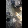 American Residential Services / ARS Rescue Rooter - Drain cleaning - Photo 1