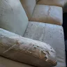 Coaster Fine Furniture - Sectional set - Photo 1