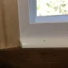 Lowe's - window installation - Photo 2
