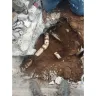 Mock And Company Plumbing - Bad Bathroom Remodel