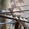 Lowe's - Werner Ladder - Photo 1