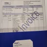VCA Animal Hospitals - Emergency pet care and death - Photo 1