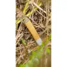 Mills Handyman - Spigot replacement - Photo 6