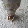 Mills Handyman - Spigot replacement - Photo 3