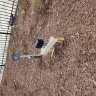 D.R. Horton - Subdivision amenities not completed - Photo 6