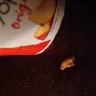 Yoplait - Seed particles in yoplait - Photo 1