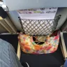 Allegiant Air - Baggage charge - Photo 1