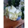 Marks and Spencer - Flower Delivery  - Photo 2