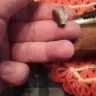 International Military Antiques - Would not help me with broken item/ would not honor warranty - Photo 4