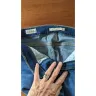 Levi Strauss & Co. - Denim jeans size label residue - Photo 1