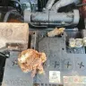 KIA Motors - Service negligence - Photo 5