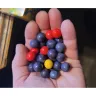 Ferrara Candy Company - Incomplete merchandise  in packaging - Photo 2