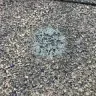 State Farm - Roof/Hail damage - Photo 1