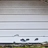 State Farm - Roof/Hail damage - Photo 12