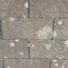 State Farm - Roof/Hail damage - Photo 3
