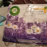 Air Wick - Air Wick Essential Plug in fragrances - Photo 3