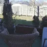 BLU Products - Cameras on blu phones and image quality - Photo 1