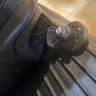 Caribbean Airlines - Damage luggage - Photo 3