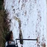 FedEx - Placement of deliveries - Photo 6