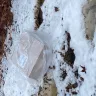 FedEx - Placement of deliveries - Photo 5