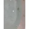 Westgate Resorts - Disgusting unsanitary condo - Photo 4