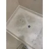 Westgate Resorts - Disgusting unsanitary condo - Photo 5