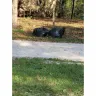 Waste Management [WM] - Recycle and yard waste pickup - Photo 2