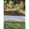 Waste Management [WM] - Recycle and yard waste pickup - Photo 3