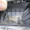 Copart - Lot [protected] misinformation posted online 2021 Lexus RX350 - Photo 3