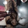 Dhwarak Indian Hair / Dhwarak Manufacturers - Mangle up DOG hair