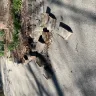 Amazon - Driver damaged my property - Photo 2