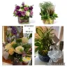 Florist One - Flower arrangement/ plant misrepresentation false advertising