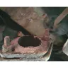 Midas - Exhaust System Replaced - Photo 2