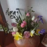 Serenata Flowers - Quality of product and misleading publicity - Photo 1