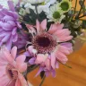 Lovely Flora World - Liars_scam - Photo 1