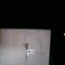 Rent-A-Center - Damaged - Photo 2