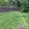 LawnStarter - Mowing this past week.