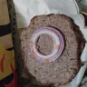 Carl's Jr. - Old nasty food - Photo 7