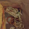 Carl's Jr. - Old nasty food - Photo 4