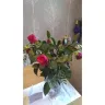 Prestige Flowers - Flower delivery 